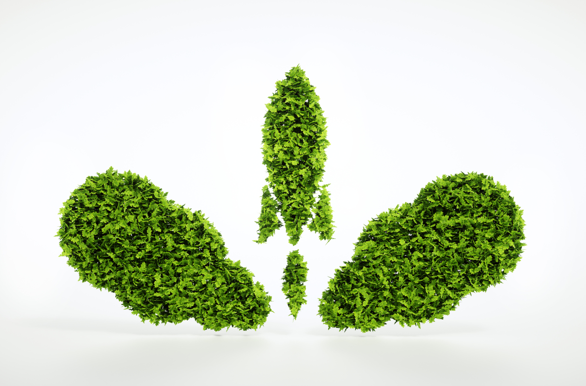 成都貨物（道路）運(yùn)輸許可證辦理流程、所需材料，辦理?xiàng)l件。